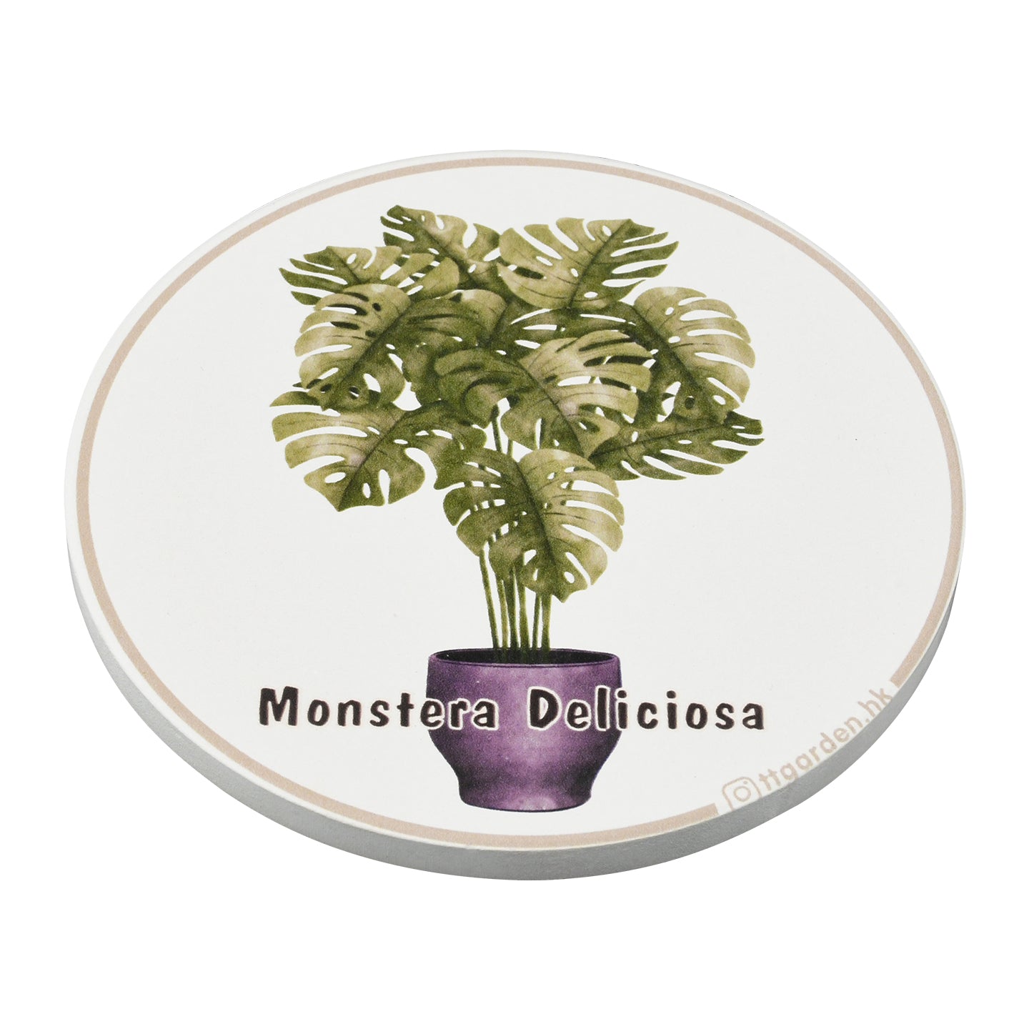 陶瓷吸水杯墊 - 龜背芋