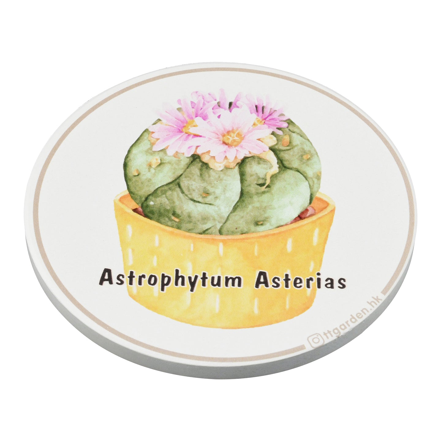 陶瓷吸水杯墊 - 星葉球