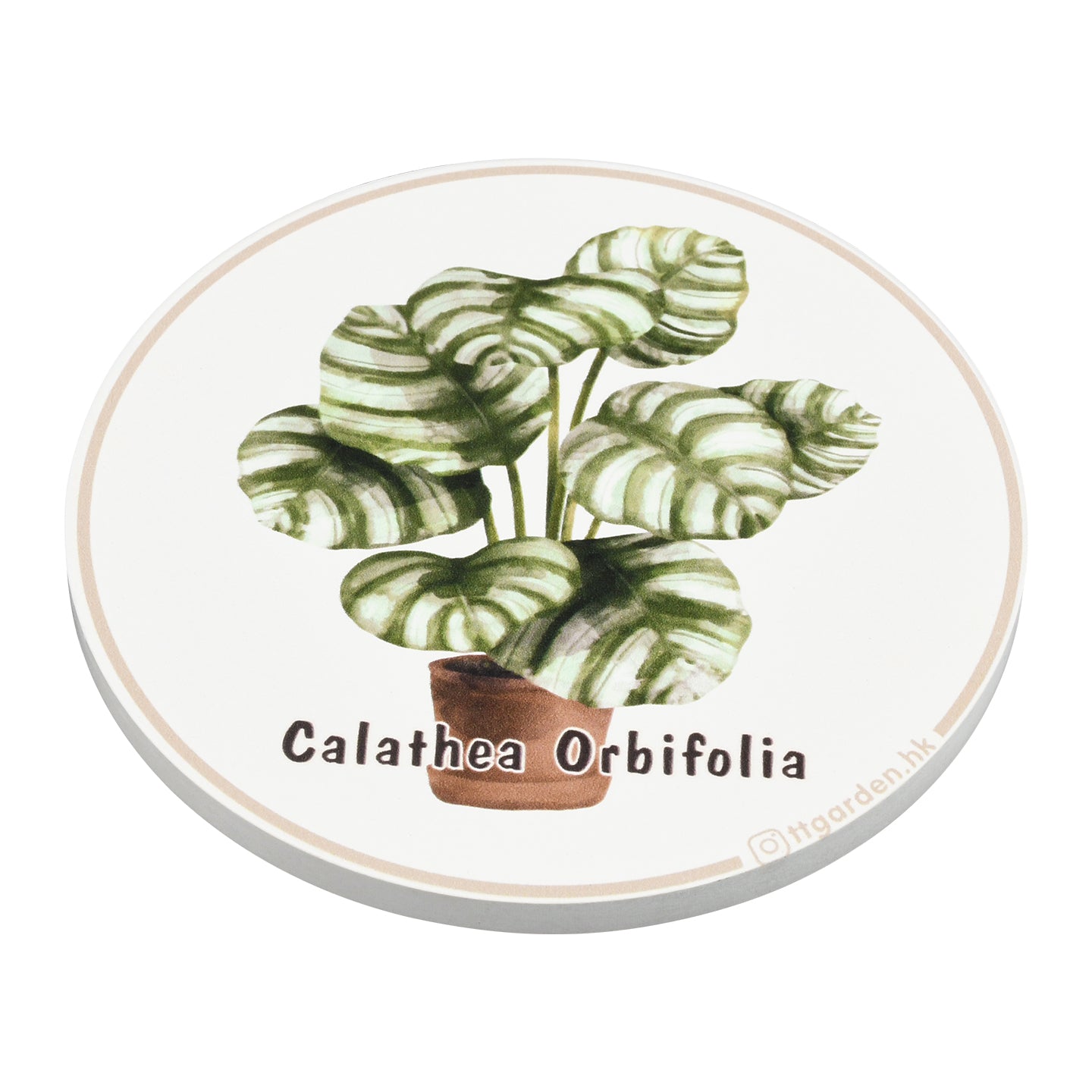 陶瓷吸水杯墊 - 青蘋果竹芋