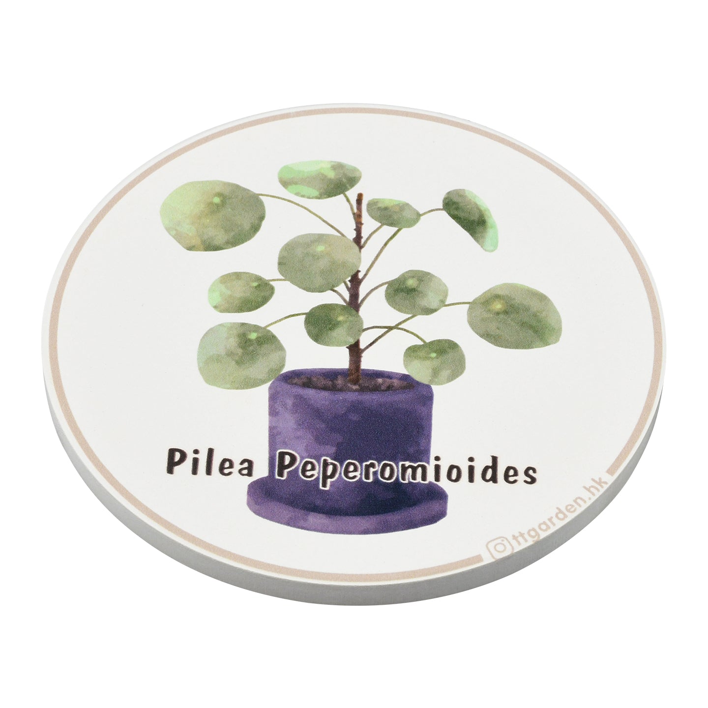 陶瓷吸水杯墊 - 鏡面草