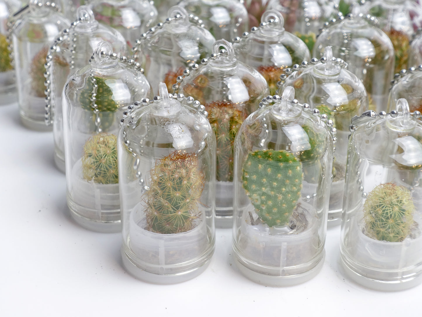 治癒小盆栽系列 - 仙人掌 吊飾款