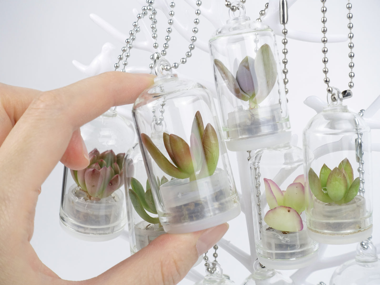 治愈小盆栽系列 — 多肉寶寶 吊飾款