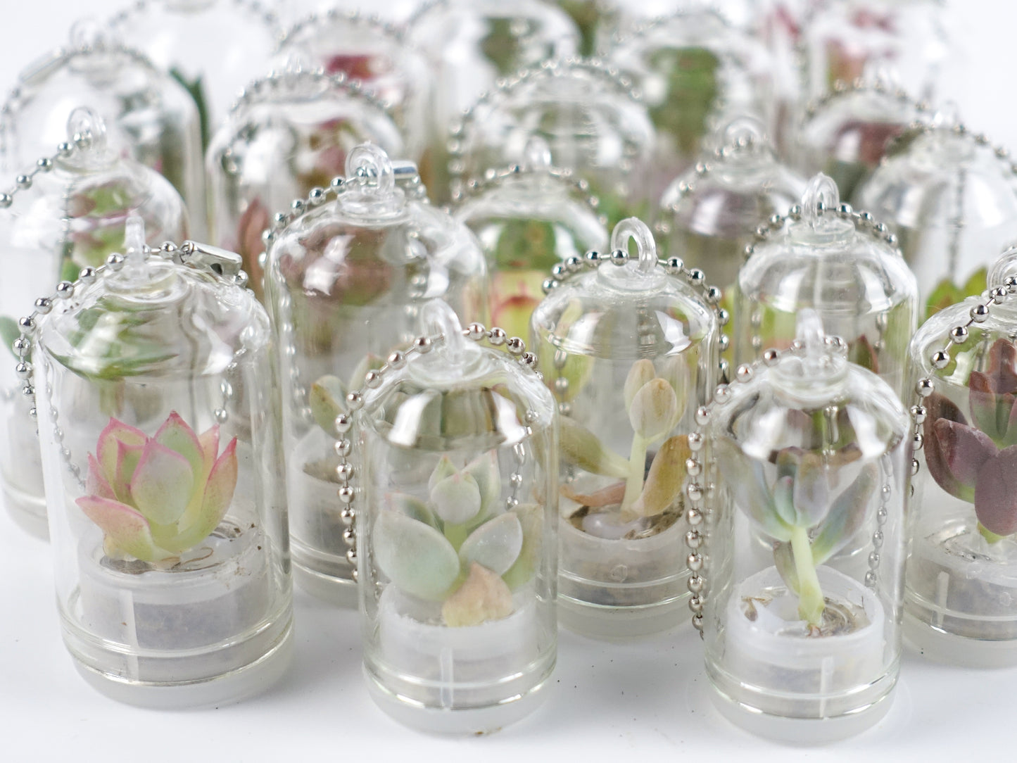 治愈小盆栽系列 — 多肉寶寶 吊飾款