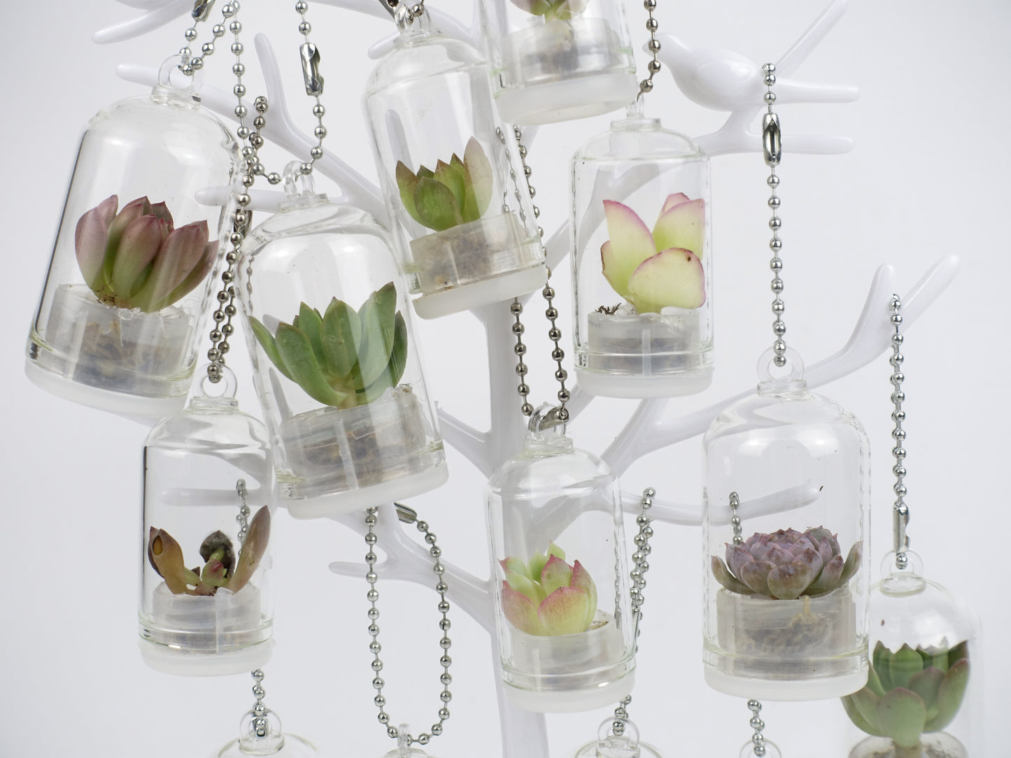 治愈小盆栽系列 — 多肉寶寶 吊飾款