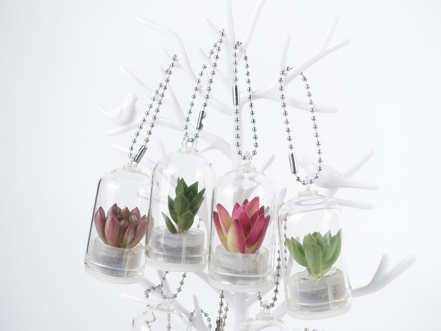 治愈小盆栽系列 — 多肉寶寶 吊飾款