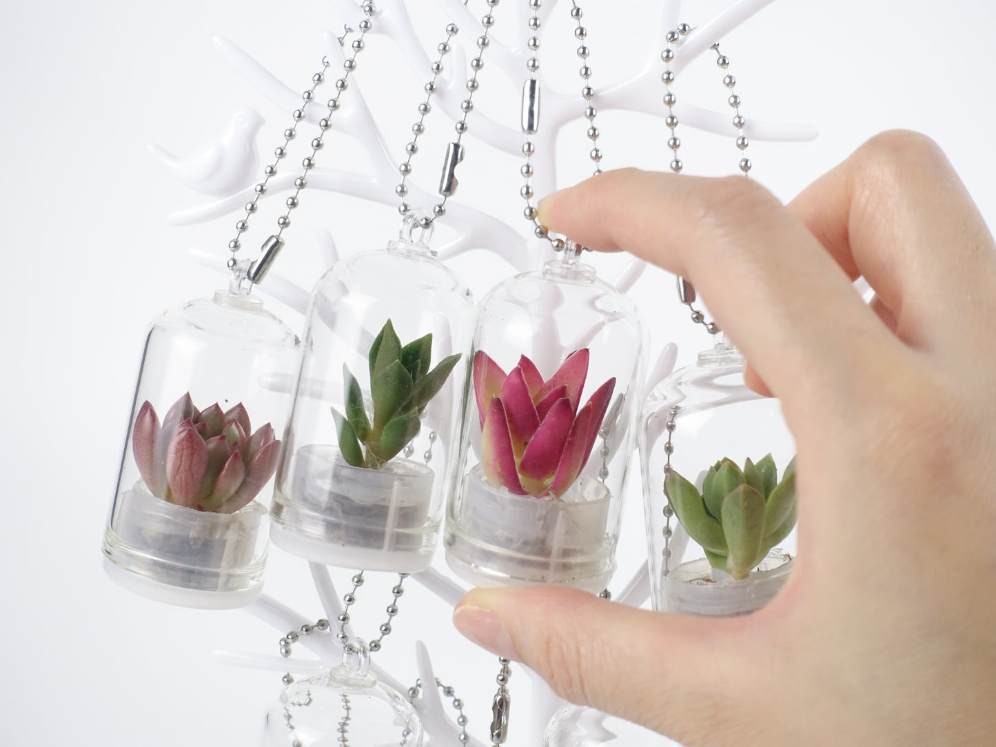 治愈小盆栽系列 — 多肉寶寶 吊飾款