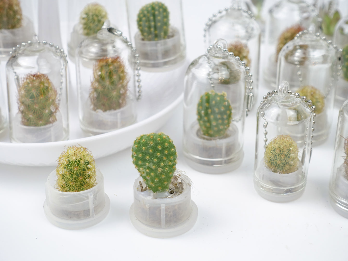 治癒小盆栽系列 - 仙人掌 吊飾款