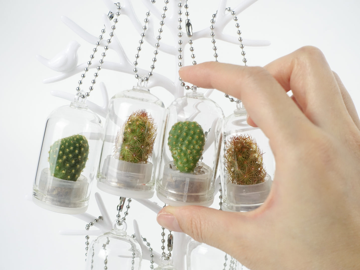 治癒小盆栽系列 - 仙人掌 吊飾款