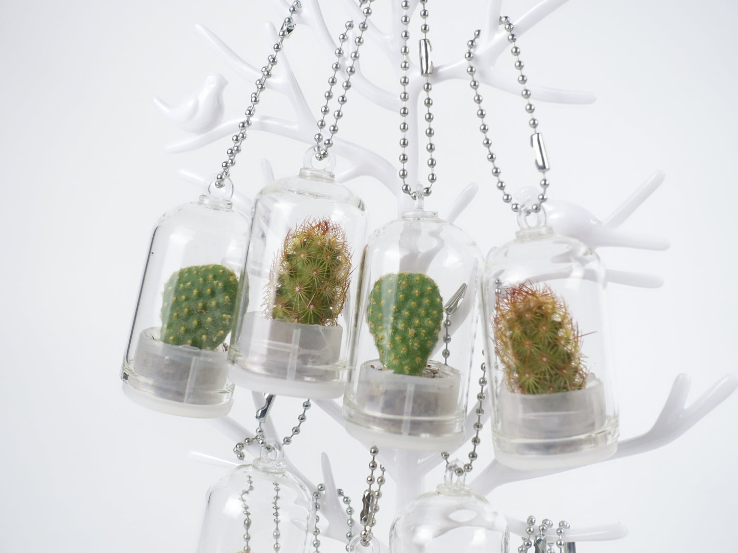 治癒小盆栽系列 - 仙人掌 吊飾款