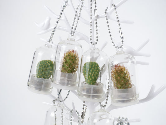 治癒小盆栽系列 - 仙人掌 吊飾款
