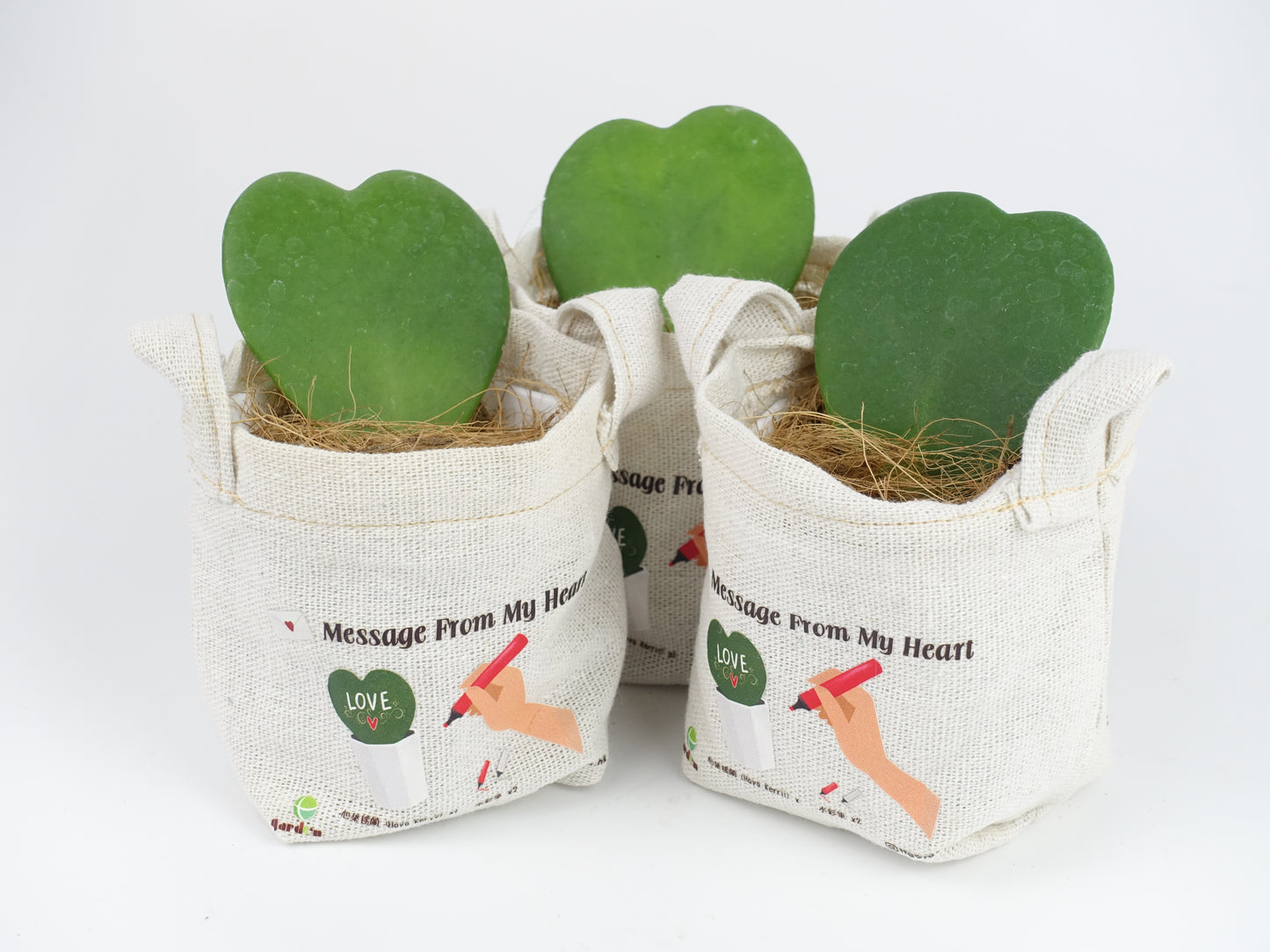 Message From My Heart - 心葉毬蘭