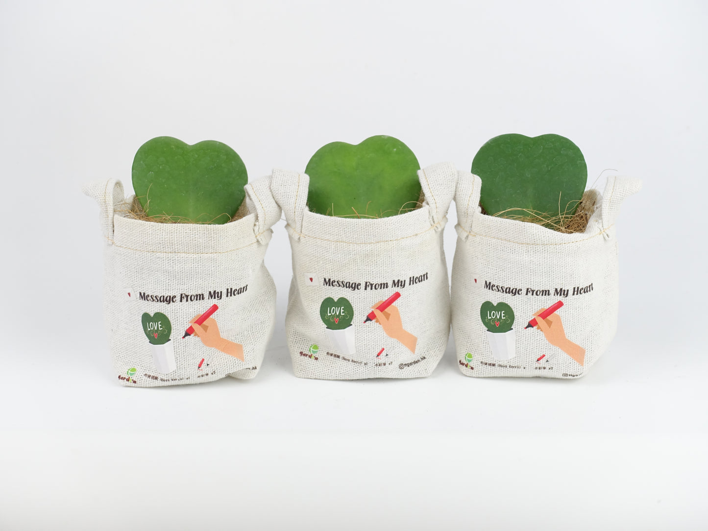 Message From My Heart - 心葉毬蘭