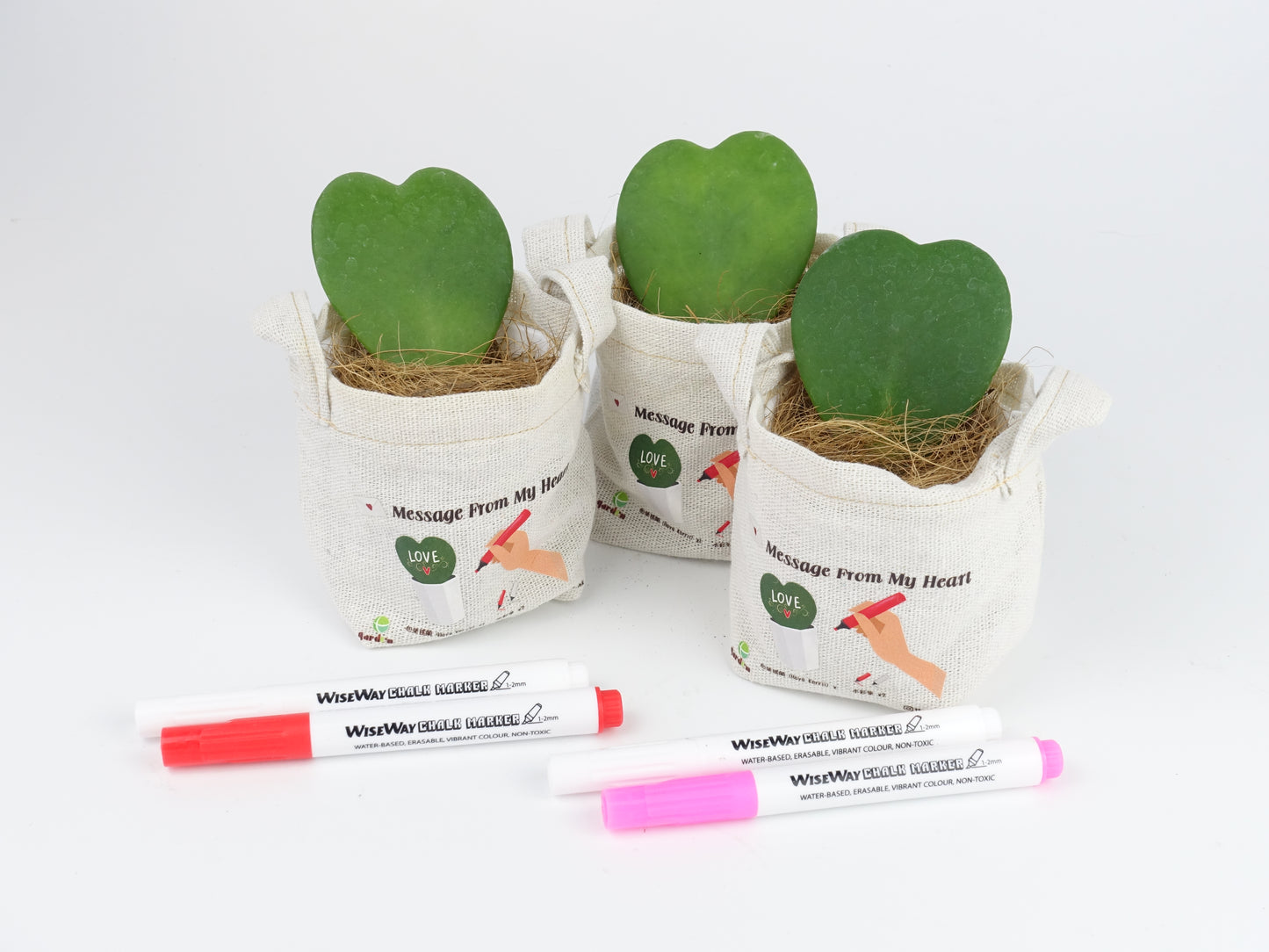 Message From My Heart - 心葉毬蘭