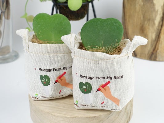 Message From My Heart - 心葉毬蘭