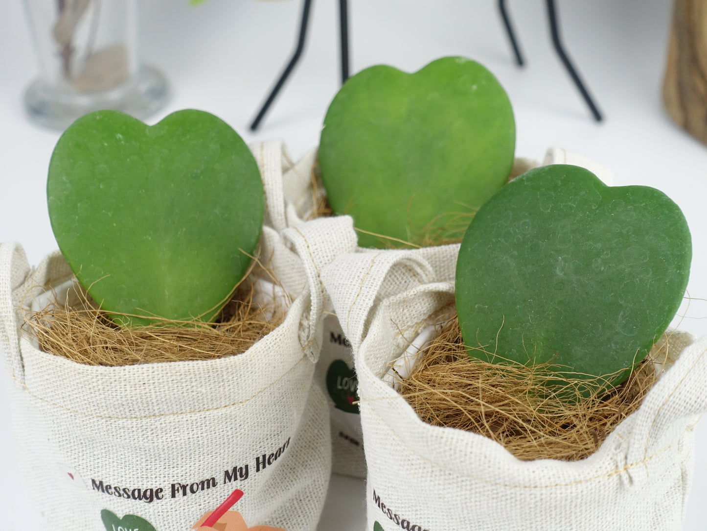 Message From My Heart - 心葉毬蘭