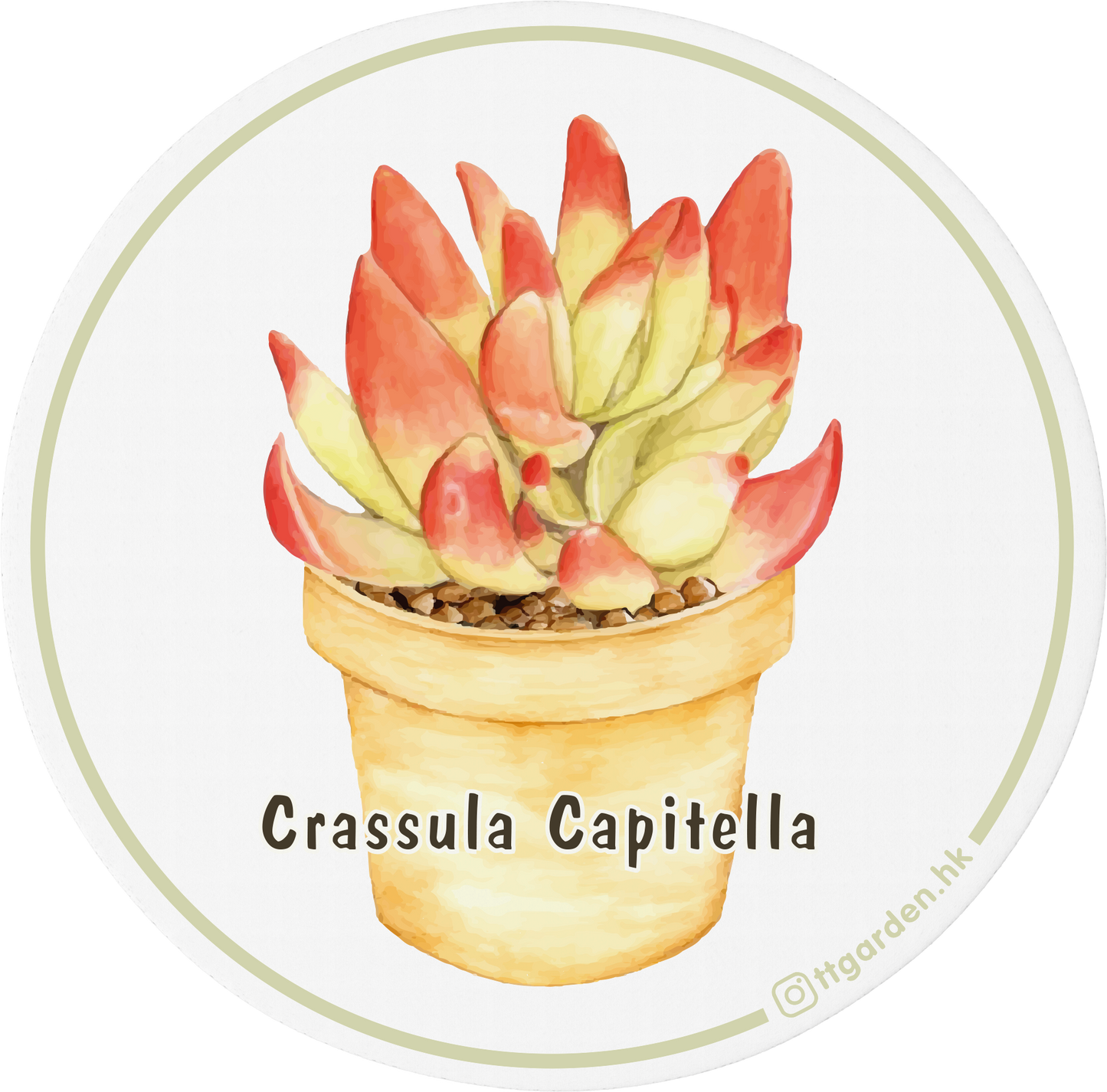 陶瓷吸水杯墊 - 火祭