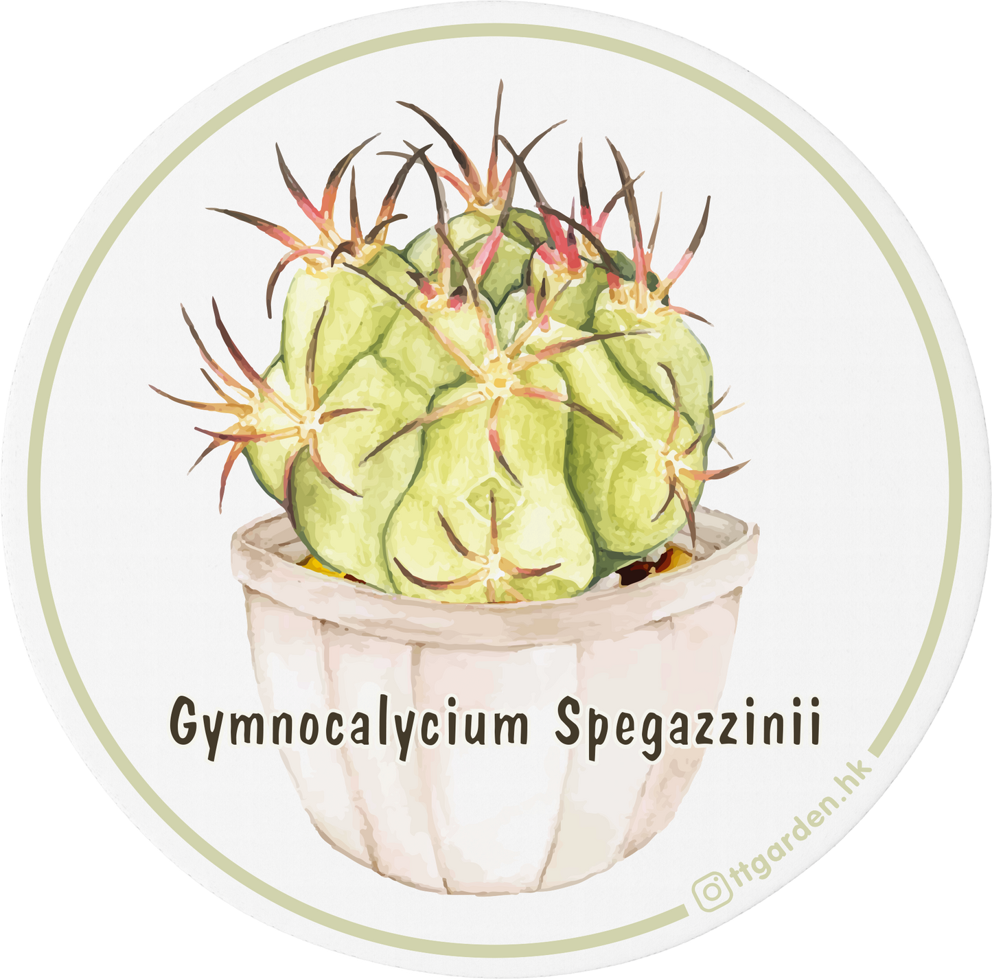 陶瓷吸水杯墊 - 猫爪天平丸