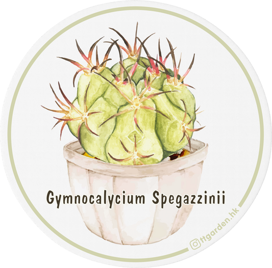 陶瓷吸水杯墊 - 猫爪天平丸