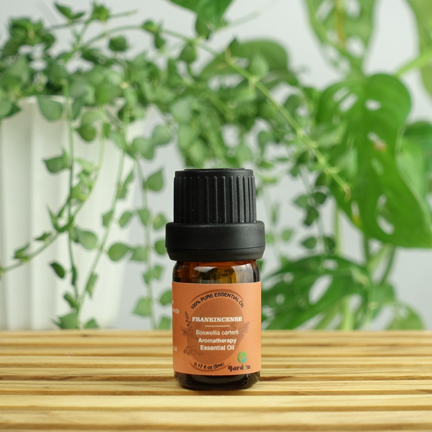 100%純天然香薰精油5ml - 乳香