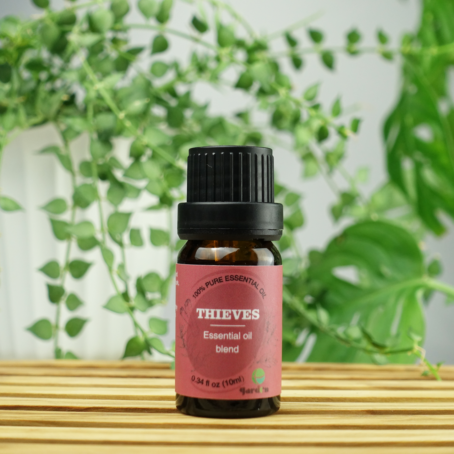 100%純天然香薰複方精油10ml - Thieves