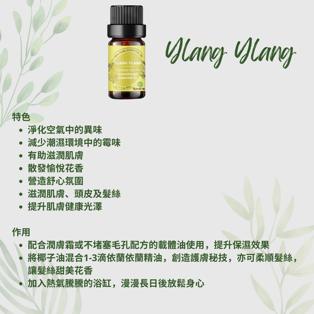 100%純天然香薰精油5ml - 依蘭依蘭