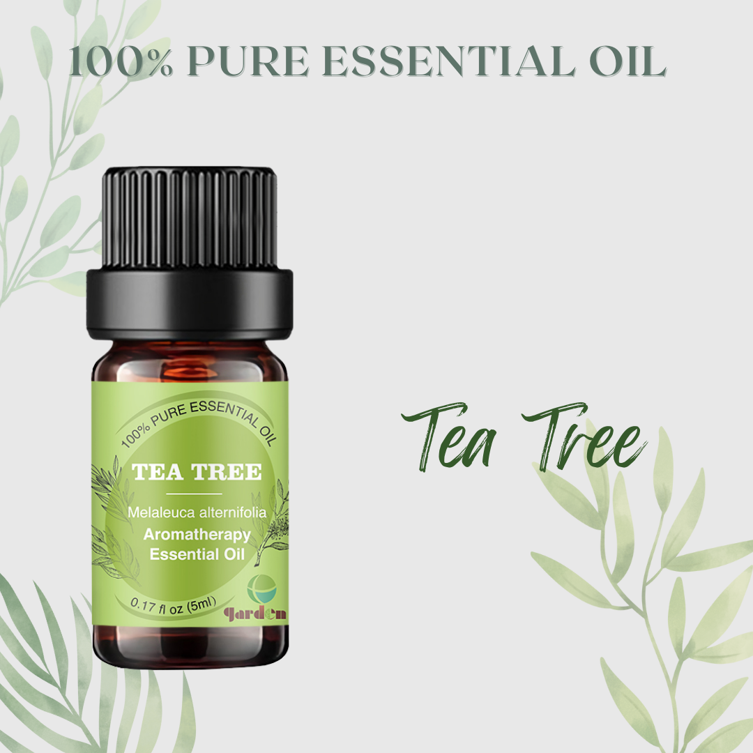 100%純天然香薰精油5ml - 茶樹