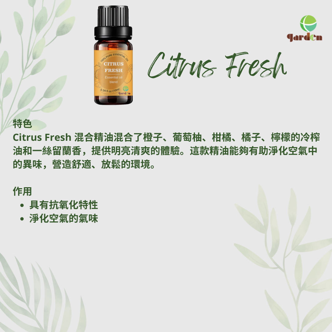 100%純天然香薰複方精油10ml - Citrus Fresh