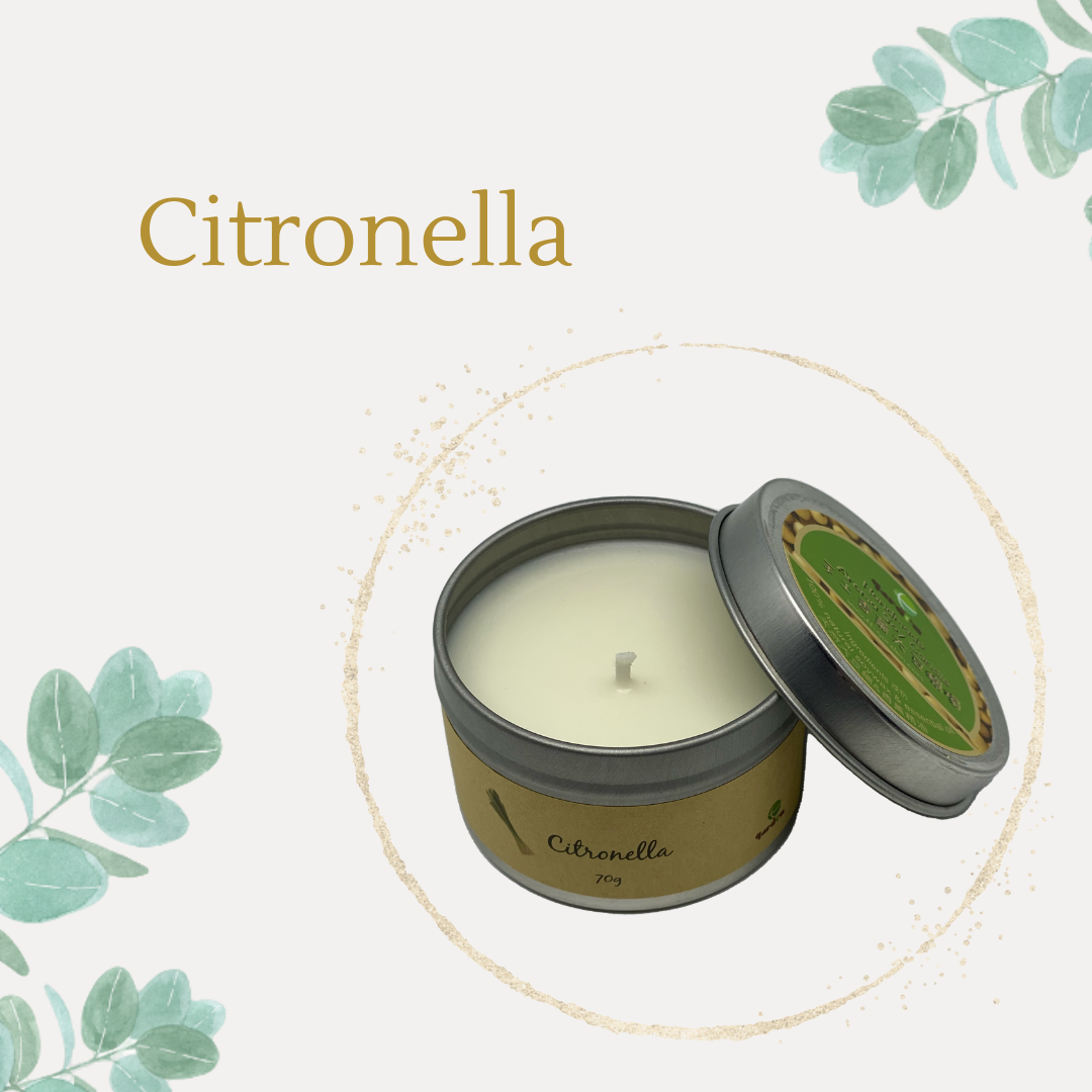 天然手工香薰大豆蠟燭 - Citronella 70g