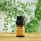 100% Pure Natural Aromatherapy Essential Oil 5ml - Sweet Orange
