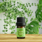 100% Pure Natural Aromatherapy Essential Oil 5ml - Tea Tree