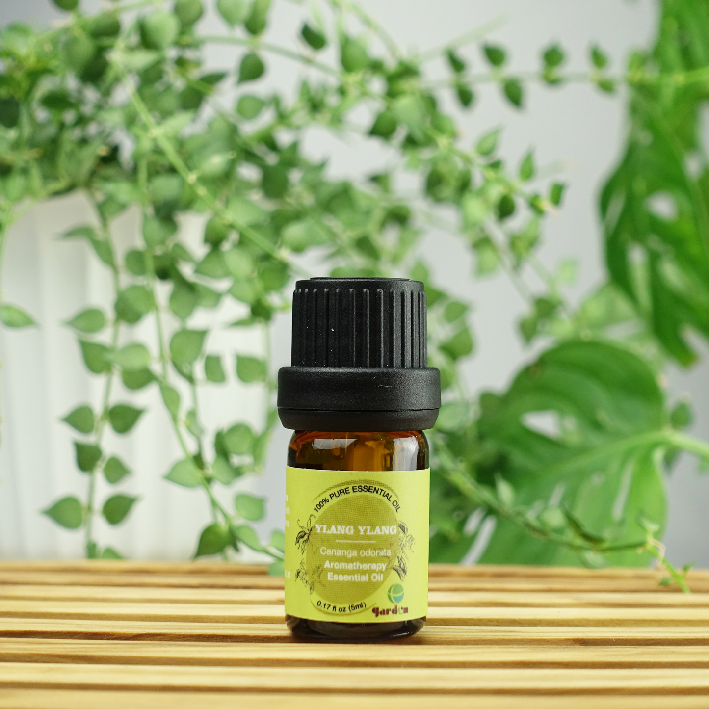 100% Pure Natural Aromatherapy Essential Oil 5ml - Ylang Ylang